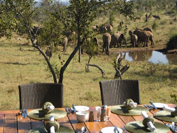 Royal Madikwe - Deck Dining 
